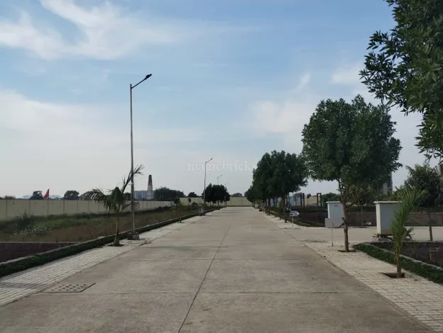 Neal City